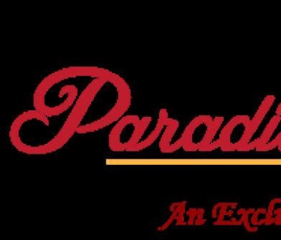 Agency Paradise Secrets