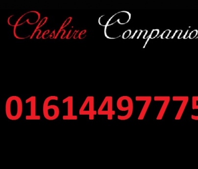 Agency Cheshire Companions